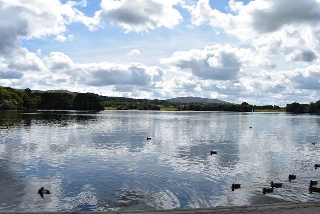 Talkin Tarn Country Park