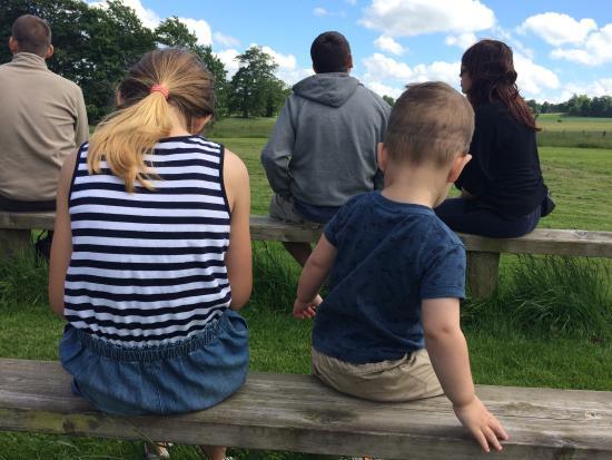 The Walled Garden Tea Room