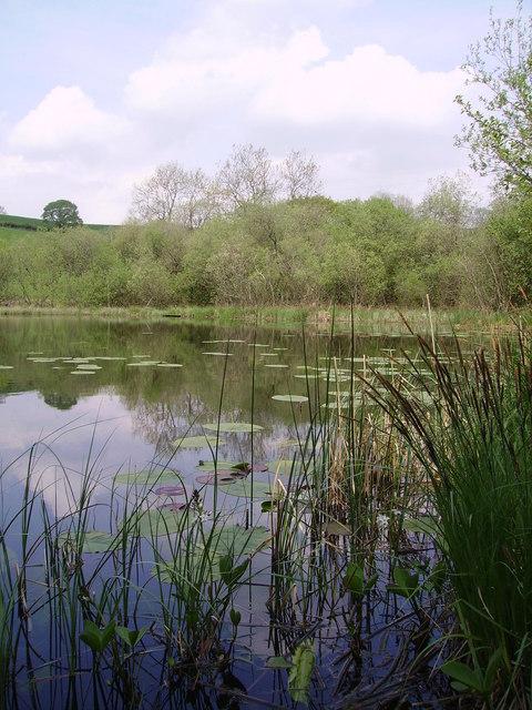 Skelsmergh Tarn