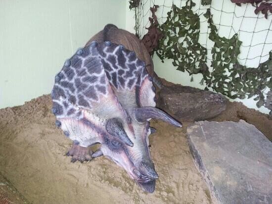 Dinosaur And Raptor Experience