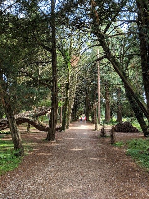 Lowther Castle & Gardens Trust