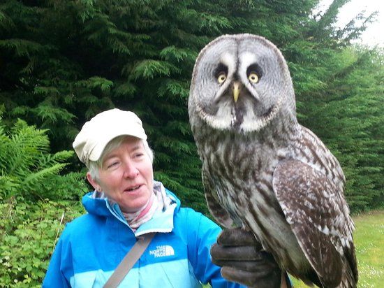 Cumberland Bird Of Prey Centre